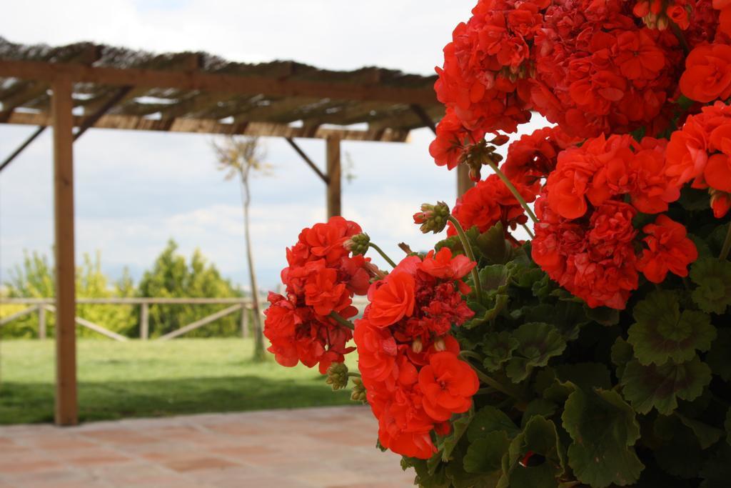 Atalaya De La Campina Hotel Cordoba Exterior photo